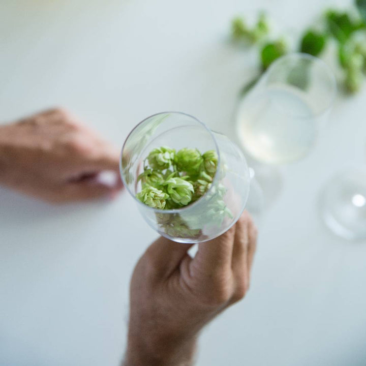 Apple juice | Hops