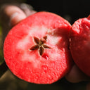 Bergapfelsaft Rouge