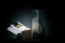 Apple juice Ananasrenette with box